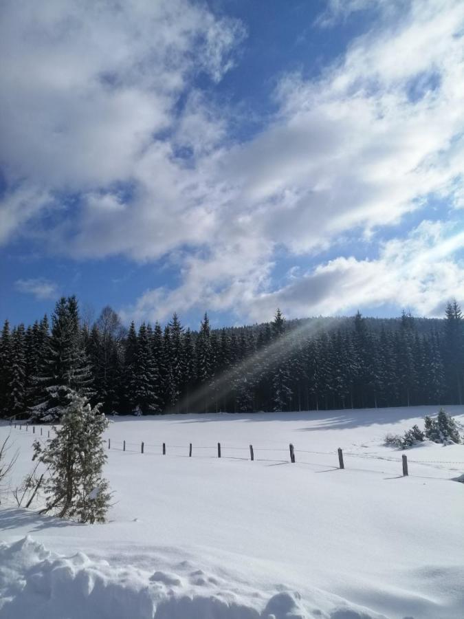 Вилла Mountain House Tadic 1 Баина-Башта Экстерьер фото