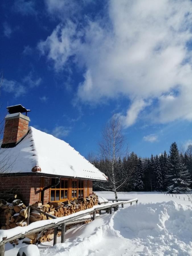 Вилла Mountain House Tadic 1 Баина-Башта Экстерьер фото